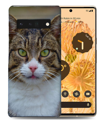CASE COVER FOR GOOGLE PIXEL|KITTEN CAT 12
