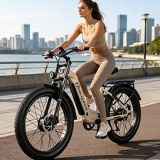 26 Zoll Elektrofahrrad 2000W 48V 17.5AH Dual Motor E-Mountain Bike City …