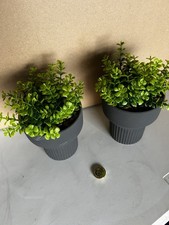 Home Decoration - artificial plants x2
