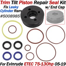 Kit Guarnizioni Riparazione Pistone Inclinazione Assetto Per Evinrude ETEC 75 90 115 135CV Cyl 2005-2019
