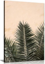 Palm leaves & Beige wall Framed Canvas Print Wall Art Home Decor