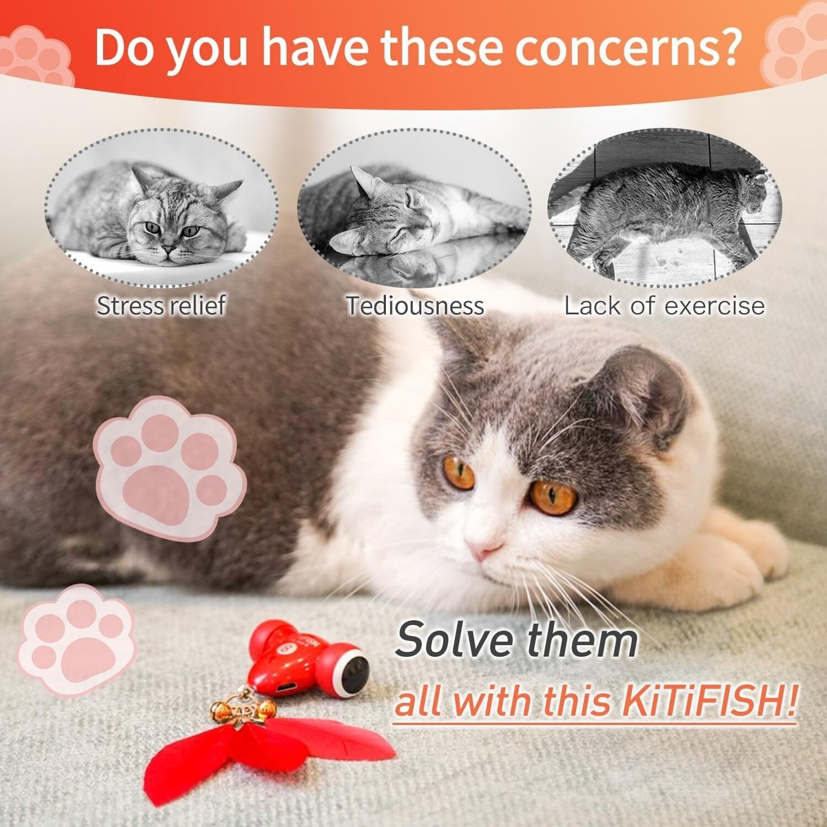 Cat Wheel Duasdne Interactive s The Kitifish Rechargeable Automatic ...