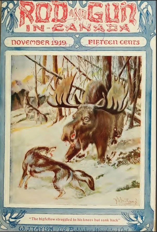 ROD AND GUN MAGAZINE 274 Unique Issue Collection On USB Flash Drive - Image 3 of 4