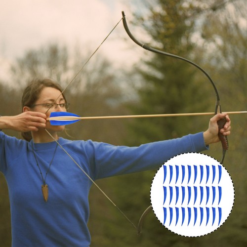 30 Pcs Arrow Shield Turkey Arrows Tail Accessory Professional - Picture 15 of 16