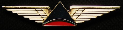 #ad VINTAGE 3.25quot; DELTA AIR LINES AIRLINES OFFICER WING WINGS AVIATION $125.00