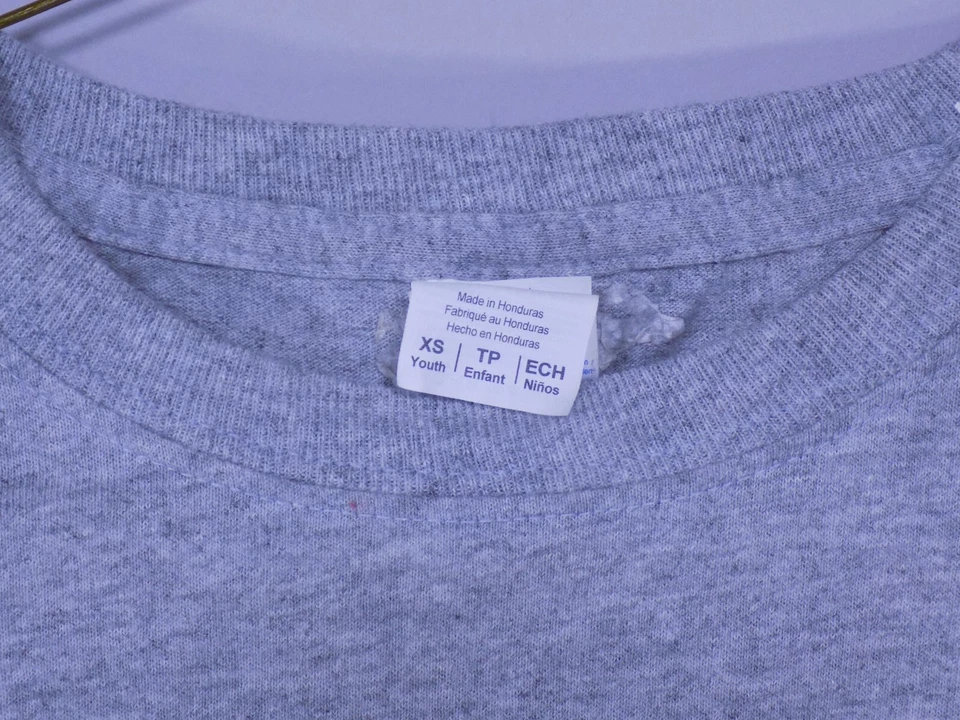 Camiseta de hockey Charlotte Checkers Chubby Mascota Niños XS Gris Gris Algodón Gildan Foto 3 de 4