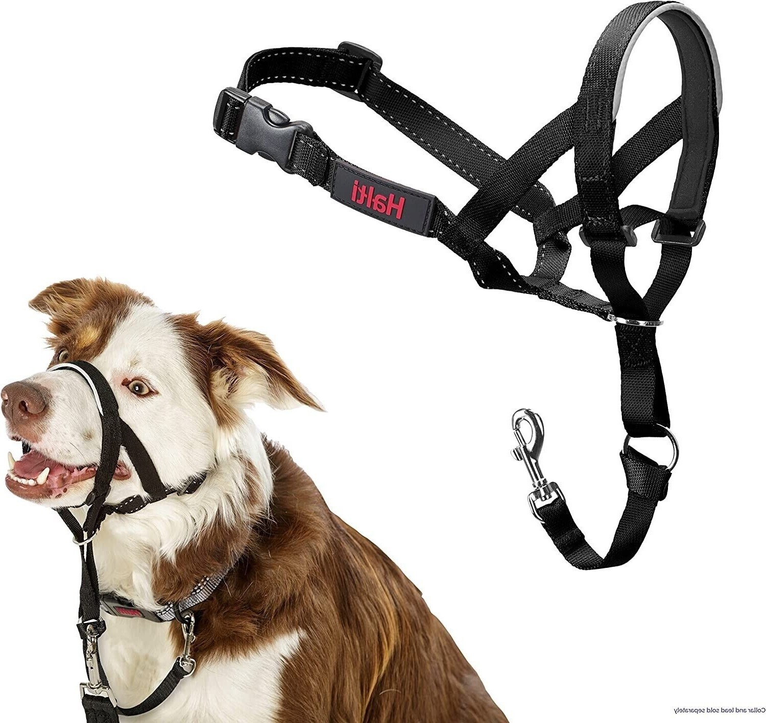 Halti Dog Headcollar Dogs, No Stop Pulling, Padded, Head Harness