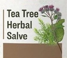 TEA TREE & BURDOCK SALVE All Purpose Herbal Skin Care with Mullein & Lobelia USA