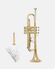 QUEENBRASS Bb Standard Trumpet Brass Finish Red Valves with Case and Mouthpiece