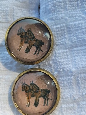 Bridle Rosette's Draft Horse Team   2 in brass and glass 