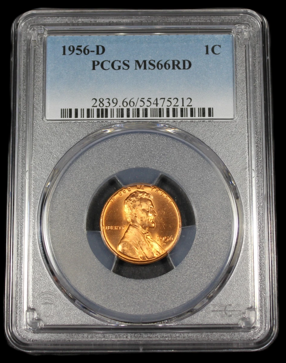 25+ MS 66 Graded 1956 Lincoln Wheat US Small Cents (1909-1958) for