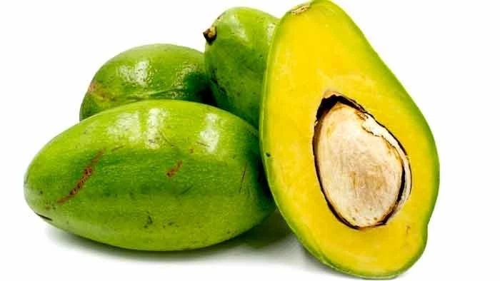 Grafted Choquette Avocado (Persea americana) Live Fruit Tree (10in-2ft)
Opens in a new window or tab