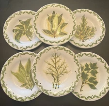 Tabletops BOTANICAL HERBS  Green Leaves Hand Painted Lunch Salad Plates Set of 6