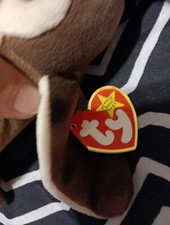 Beanie Babies Wise The Owl Toy - FBA_41879