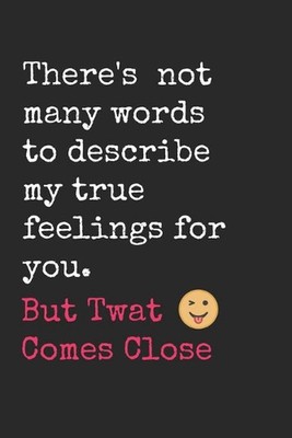 There's not many words to describe how I feel about you but twat comes close.: T