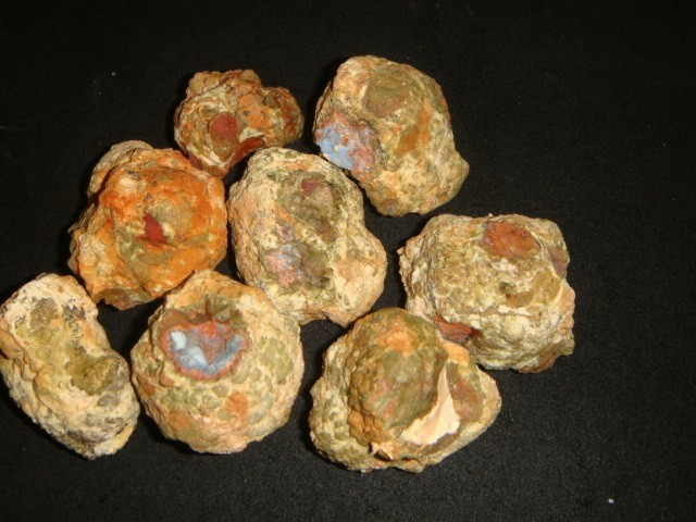 8 RICHARDSON RANCH WHOLE OPAL BED THUNDER EGGS   1   3/4   POUNDS