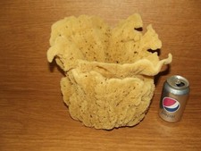 Unique Large Natural Sea Sponge - Art Display / Aquarium VGC Free S/H