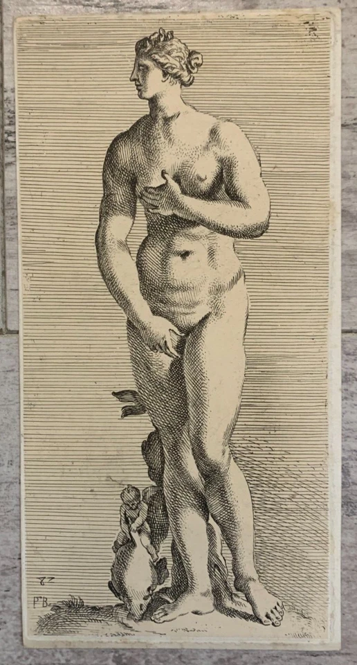 Portrait Nu Femme Mythologie Divinité Bacchus Ange Satyre Nymphe Déesse - Photo 2/4