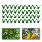 Efficient Plant Training with Adjustable Bending Clips Set of 40 Pieces