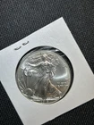2014 American Silver Eagle Walking Liberty $1 Coin 0.999 Fine