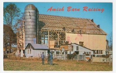Amish Barn Raising Pennsylvania Dutch Postcard