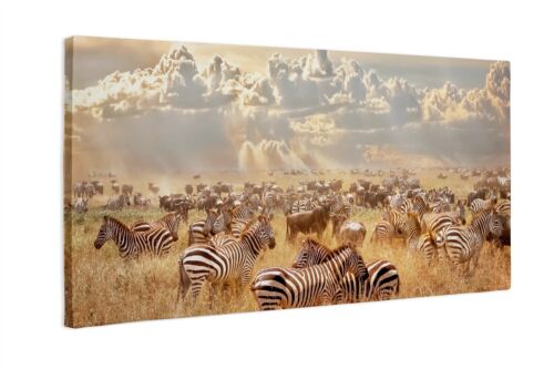 Leinwandbild Kunst-Druck Afrikanische Zebras 120x60 cm - Bild 1 von 6