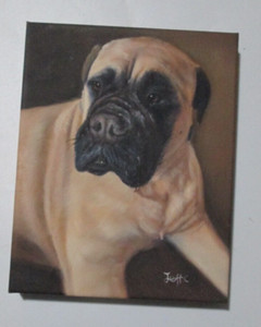 Bullmastiff Portrait 8 X 10 inches