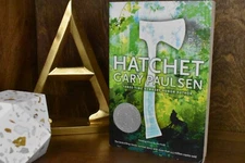 Hatchet by Gary Paulsen (Paperback)