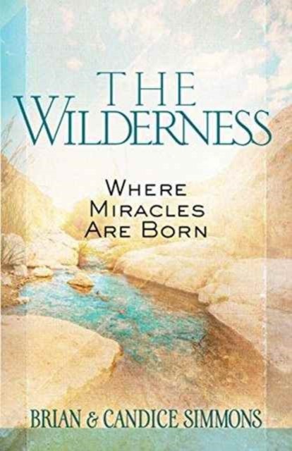 The Wilderness: Where Miracles are Born by Brian Dr Simmons (Paperback Book)