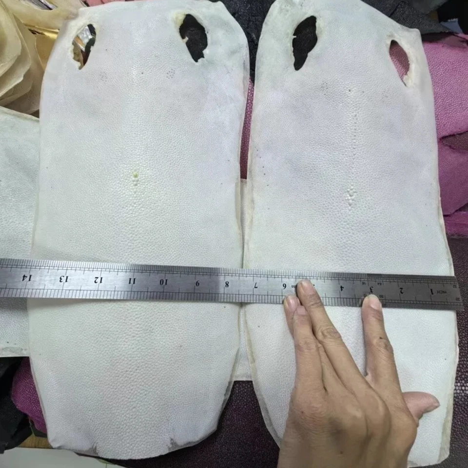 Piel de pez raya real de 7 pulgadas piel cruda embrión piel de pez translúcida cuero blanco Foto 3 de 4
