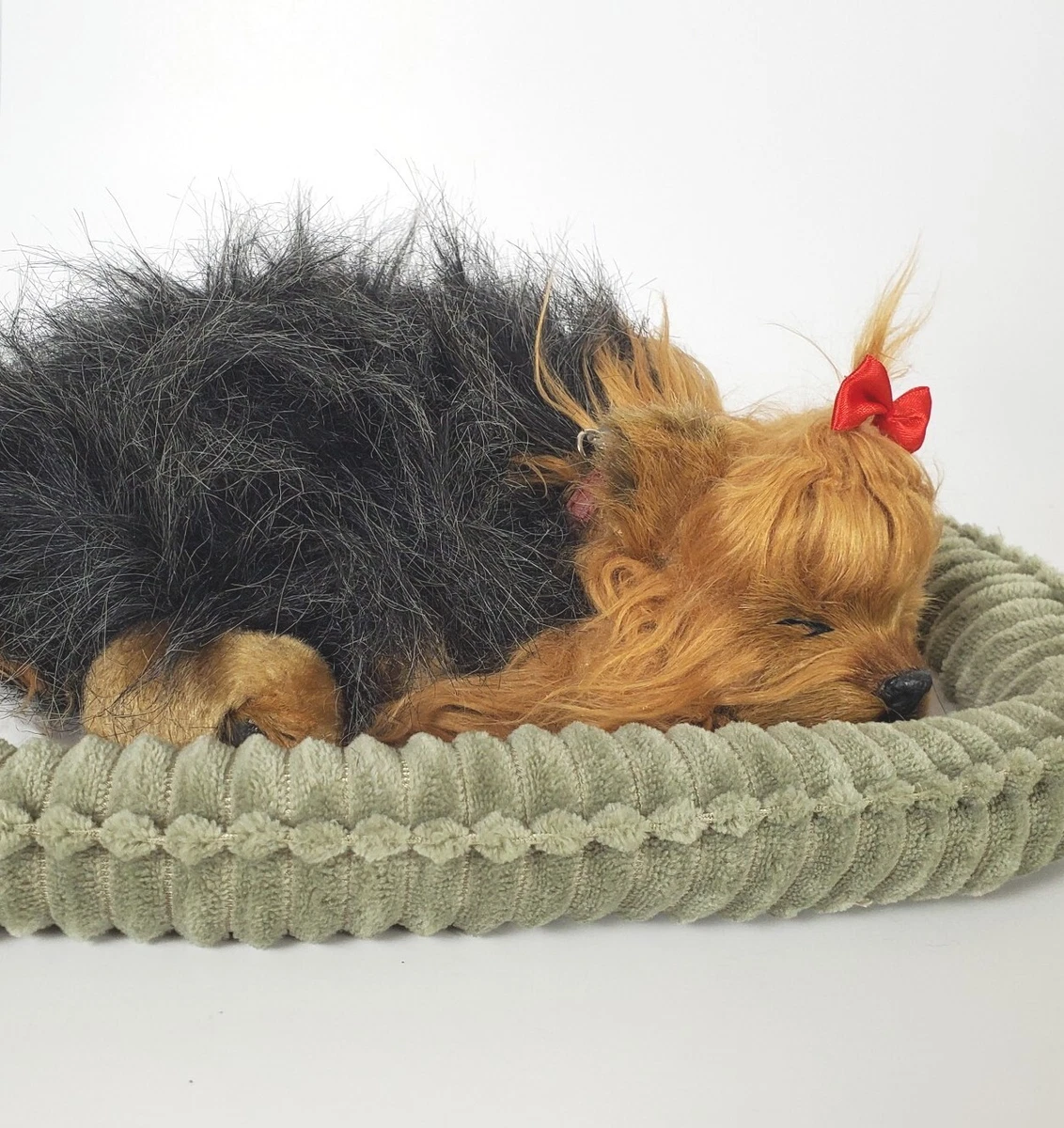 Perfect 2025 petzzz yorkie