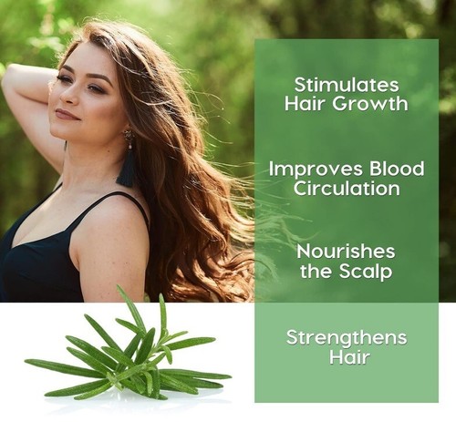 ROSEMARY OIL Hair Growth Hair REGROWTH Strengthening NATURAL HAIR TREATMENT OIL - Picture 2 of 15