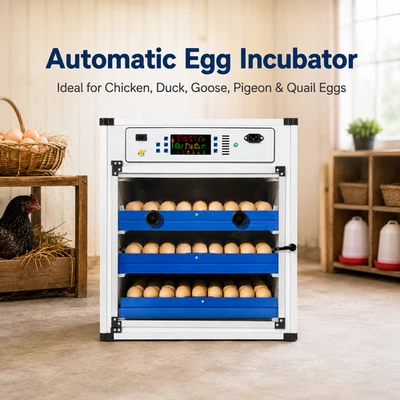 204 Eier Digital-Brutapparat, vollautomatisch mit Temperaturkontrolle für Zucht - Bild 1 von 4