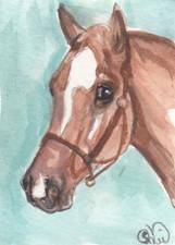 ACEO original Watercolor Art Card HORSE funny ace odd star Chestnut Thoroughbred
