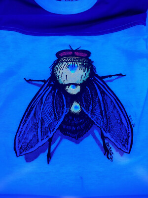 【格安，定番人気】 Vintage Iron on transfer FLY アイロン プリント ビンテージ