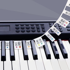 Removable Piano Key Stickers Note Labels for ...