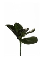 Artplants Kunstblatt Phalaenopsis Orchidee Niut, Steckstab, GrüN, 25Cm