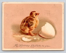 Vintage 1905 Raphael Tuck Easter Postcard Baby Chick Hatching Egg Saxony