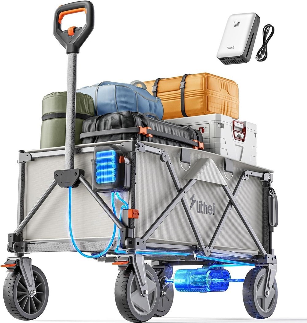 Litheli U20 E-Bollerwagen W1 Pro 450 Вт #2879130