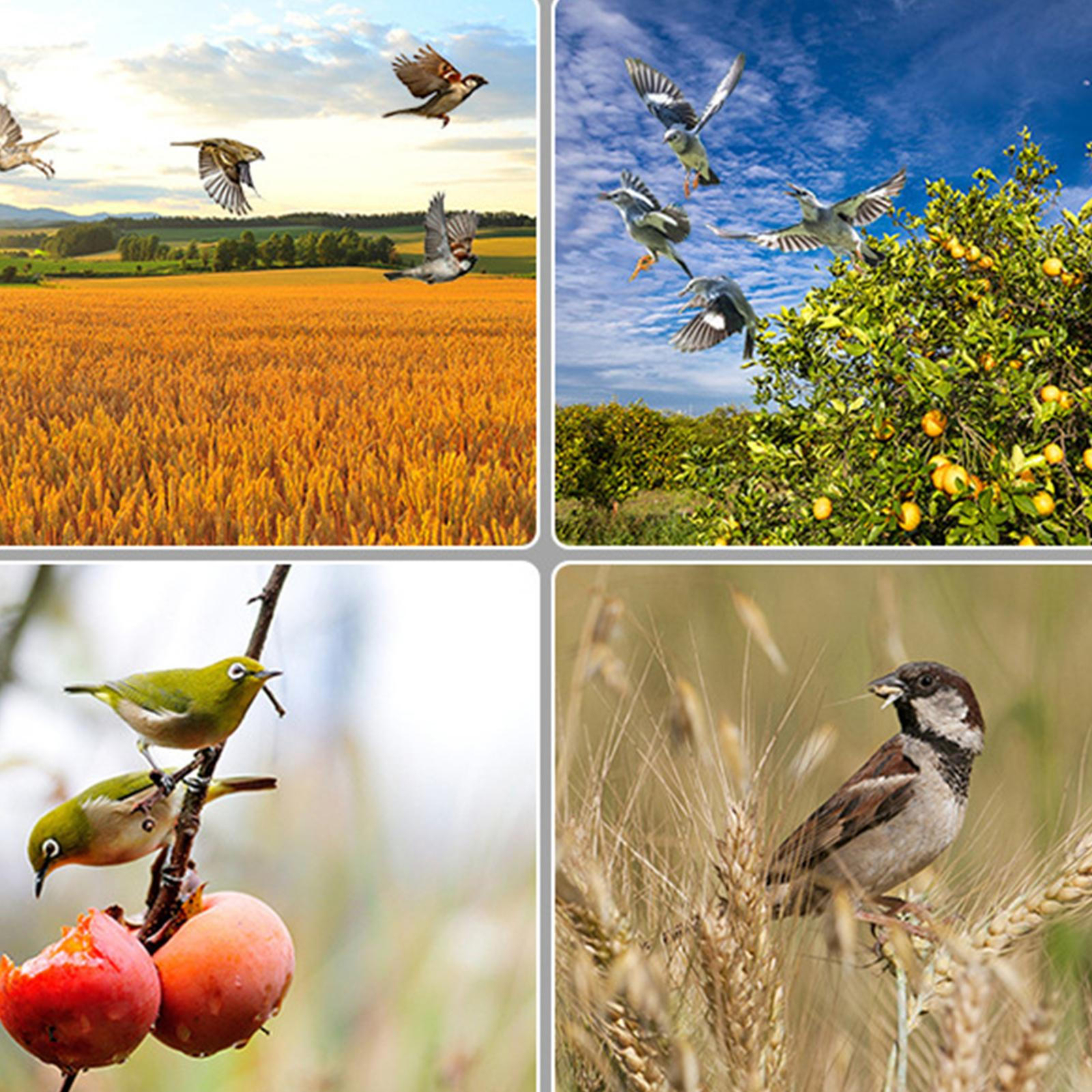 Animal Repellents Outdoor Waterproof Bird Repeller Solar Powered Bird