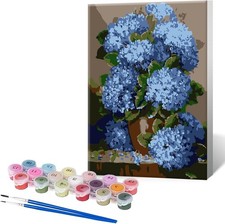 BUTMUOE Paint by Numbers Kit for Adults with Frame, DIY Multiple colors