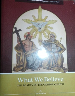What We Believe The Beauty Of The Catholic Faith Marcellino D'Ambrosio Workbook!