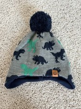 Boys Dinosaur Winter Hat Size Medium