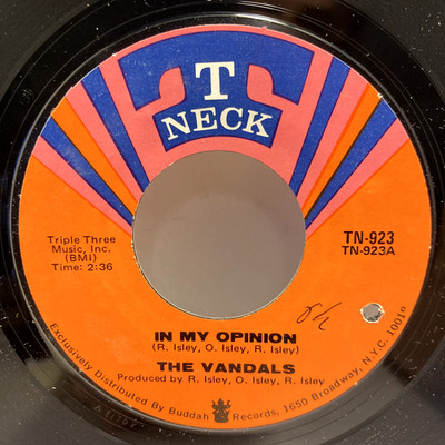 The Vandals - In My Opinion 45 RPM - Tested VG+ Vinyl - F6
