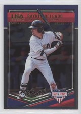 2018 Panini USA Baseball Stars & Stripes Longevity Raynel Delgado #45 0t2