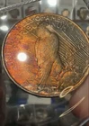 1922 Peace Dollar - Vibrant Toning - Strong Luster - High Grade - MS64-65 IMO