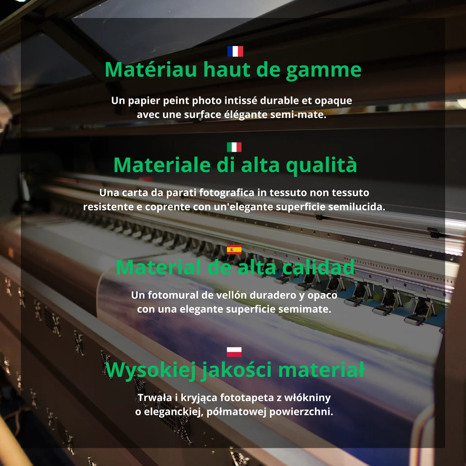 Papier Peint Intissé Panoramique Plumes Blanc Beige XXL Chambre et Salon 12 - Photo 4/4