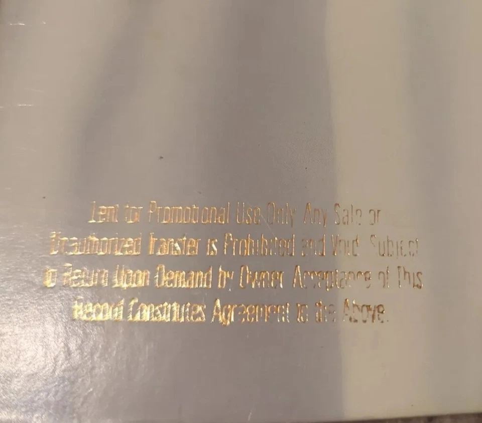 Harold Budd: The White Arcades Vinyl Record Album LP US Opal 1988 ENO PROMO f/s  Foto 3 de 4