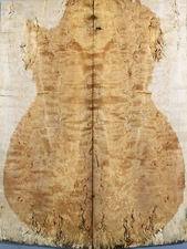 Figure Electric Bass Drop Top 10mm Spalted Quilted Maple Wood Set Luthier Supply