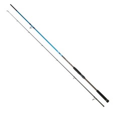Canna Daiwa SPITFIRE SEA BASS GAMMA SPECIALE SPIGOLA SPINNING MARE